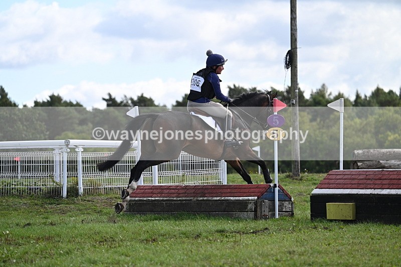 WJ7_0583 - Time 11:36 to 12:00