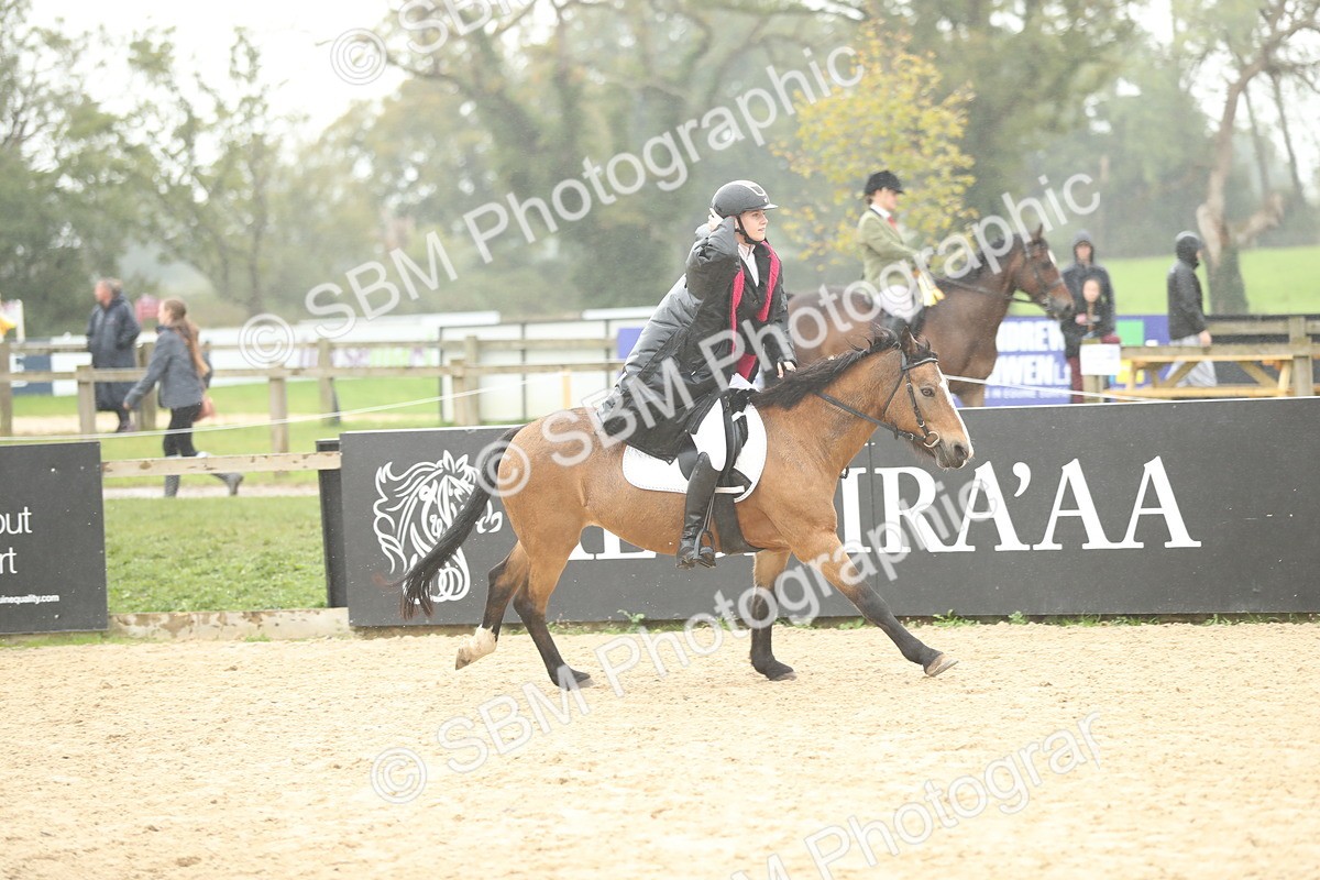 SBM_70554 - J15 - Junior Pony 70cm Championship