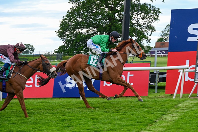 310526-Race 7-Annastarzy-9440 - Race 7 18.45pm Sky Bet Build A Bet Fillies' Handicap