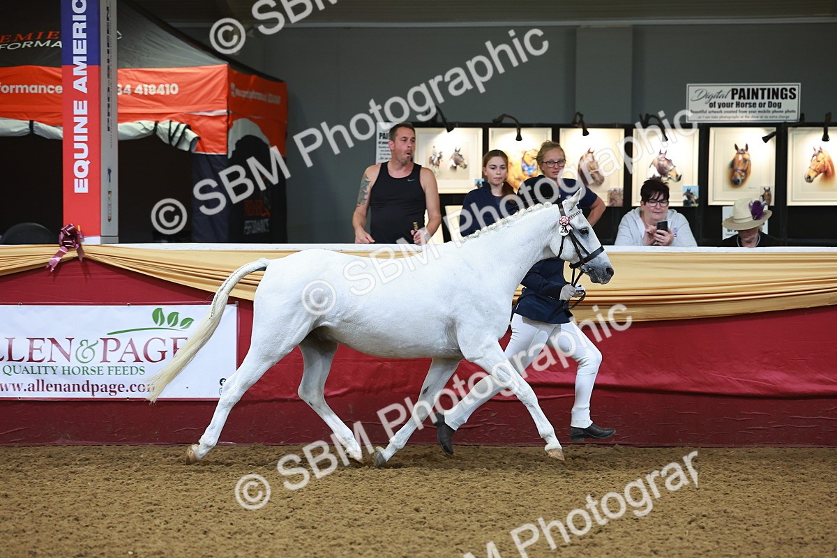 SBM_14665 - Class B - Junior Champ 11 to 16 Years