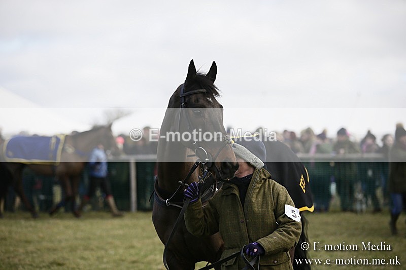 PtP 040218 70 - Point-to-Point Milborne St Andrew 04/02/18