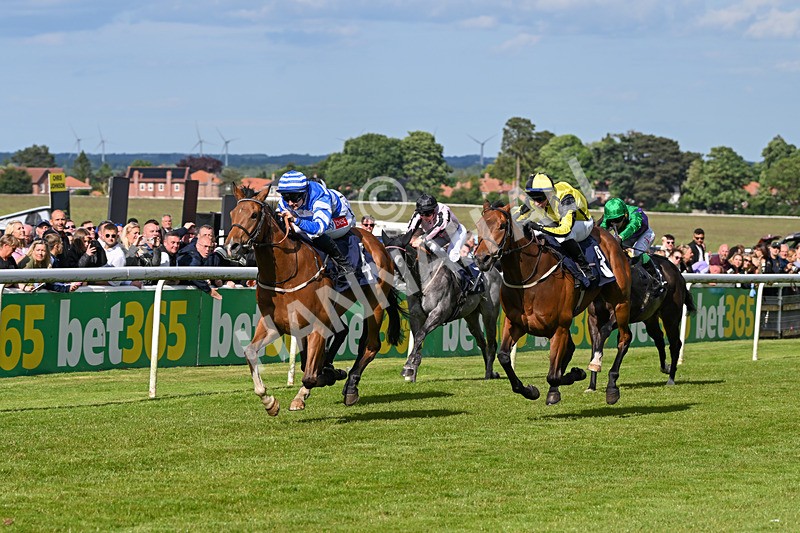 080624-Race 7-This Years Love-2042 - Race 7