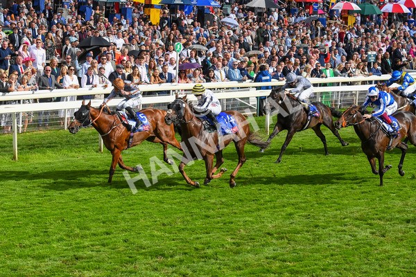 260823-Race 5-Summerghand-Albasheer-0768 - Race 5 Sky Bet Constantine Handicap