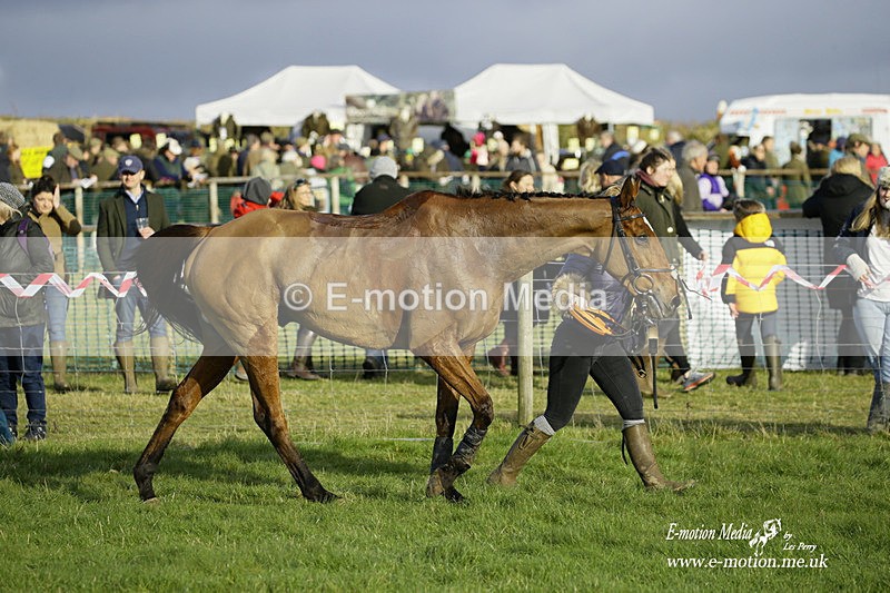PtP 300122 586 - South Dorset Hunt - Point-to-Point Races 30/01/2022