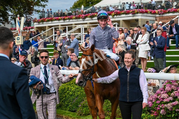 220824-Race 3-Thunder Run-6747 - Race 3 3.00pm Clipper Handicap