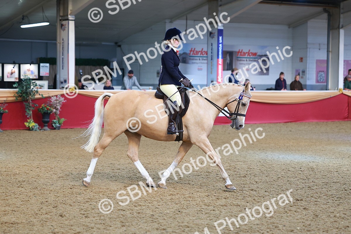 SBM_09721 - Class 102 - HOYS Veteran Qualifier - Ridden Veteran