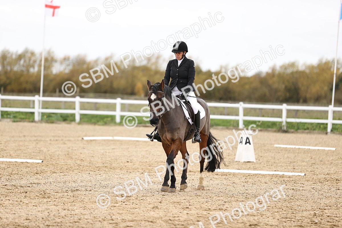 SBM_003505 - Class 11 - Elementary 1