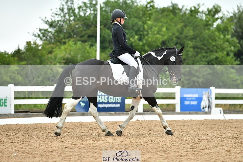 230708A-120208-02693 - Prelim 13