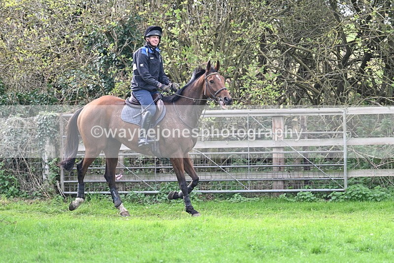 WJ7_9113 - Time 12:55 to 13:13