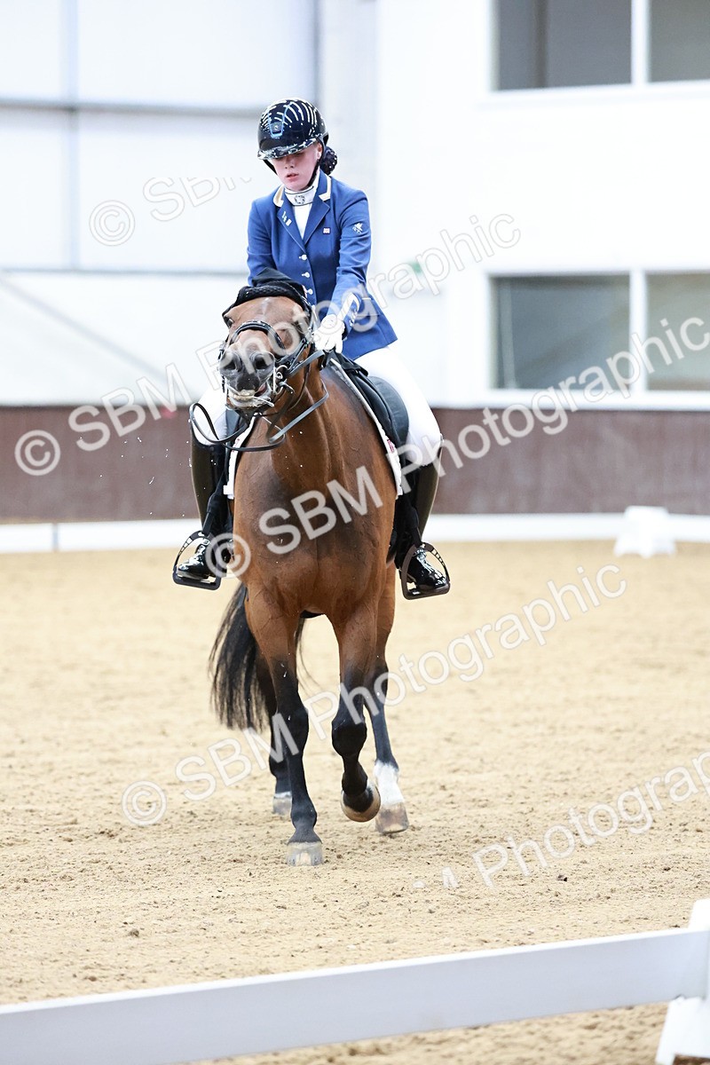 SBM_017900 - Class 15 - FEI Junior