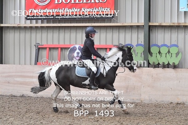 BPP_1493 - CLASS 4 Springboard 128cm/ 138cm Restricted Handicap