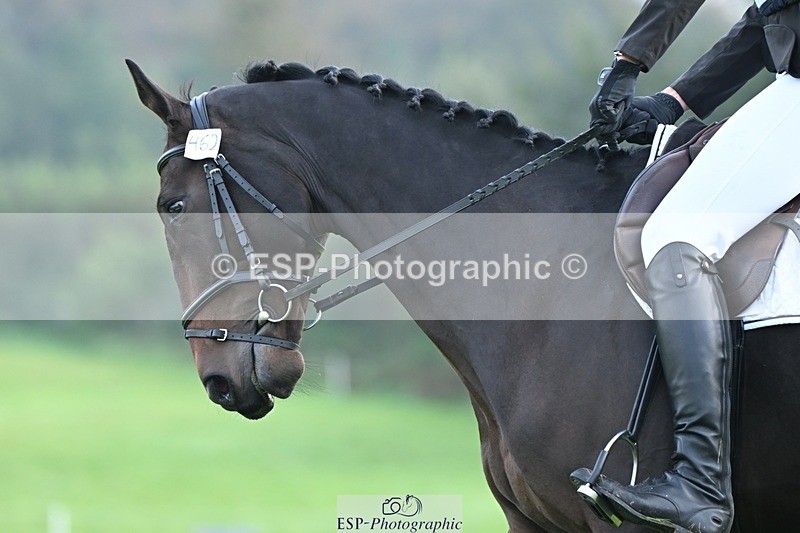 231020-093134-05676 - 462-SILVER.BAY-Marshall.David.Johnson-DR