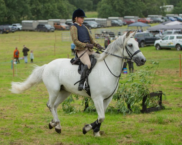 Dunblane show-497 - Dunblane and Doune Show Ring 1