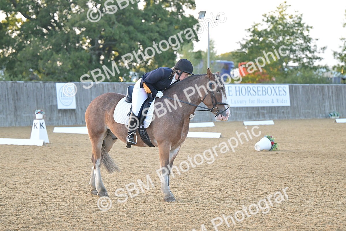 SBM_13560 - D3 - Small Tour Championship Intro 3