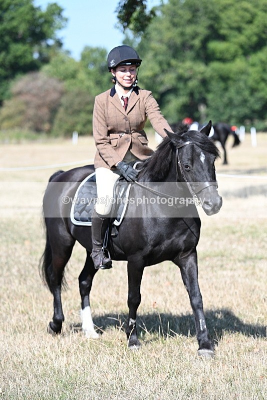 WJ7_3542 - Class 9 Mountain & Moorland Ridden
