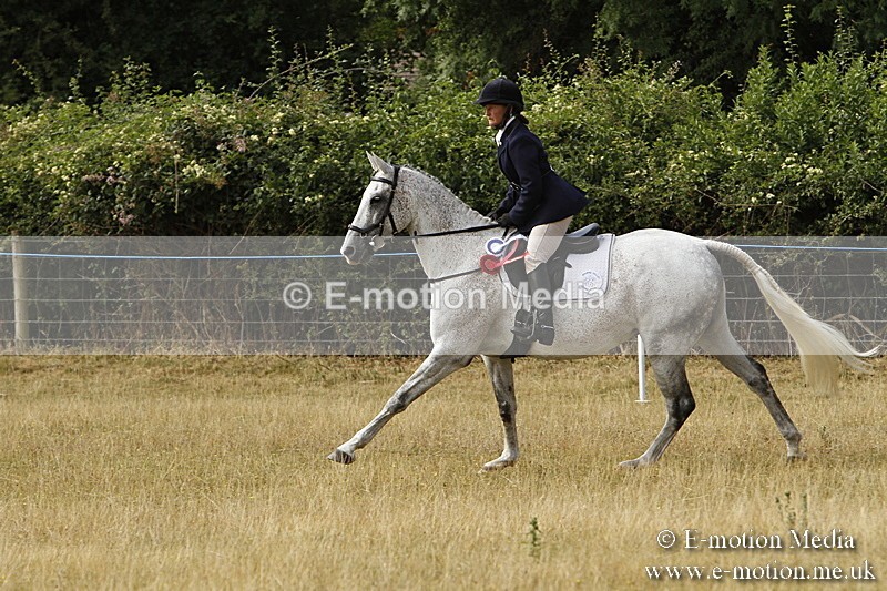 _BS_0542 - BVRC Show 2018 Ring 3