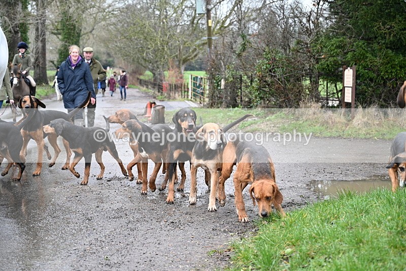 WJ7_9371 - Walk out..
