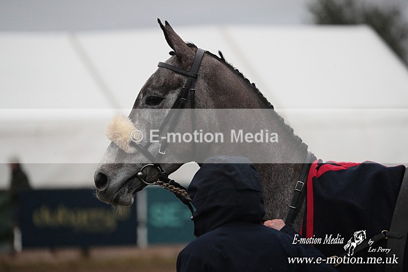 PtP 260125 980 - Cocklebarrow Point-to-Point racing with the Heythrop Hunt 26/01/25