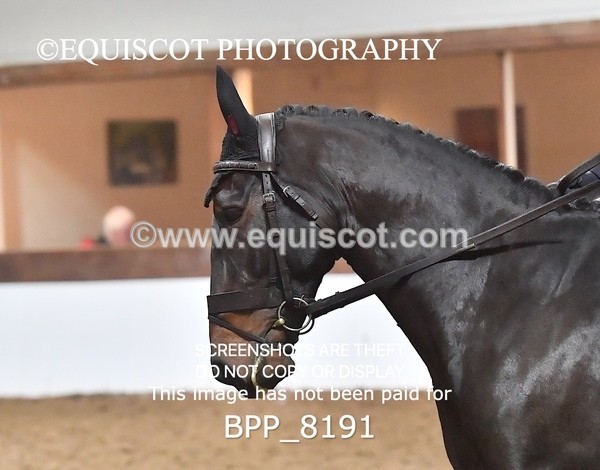 BPP_8191 - PRELIM 5 UNAFF