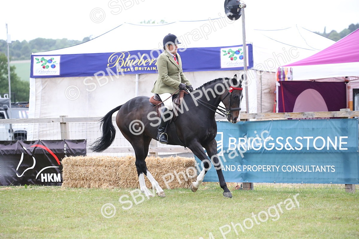 SBM_11425 - Class 94 - LIHS BSHA Racehorse to Showhorse