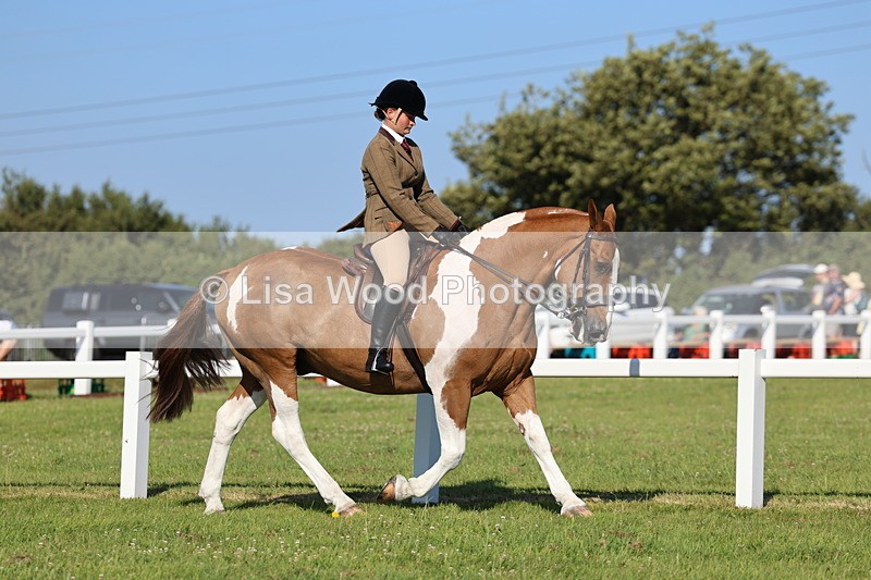IMG_1442 - Class 29:  Ridden Native/Trad Coloured Horse