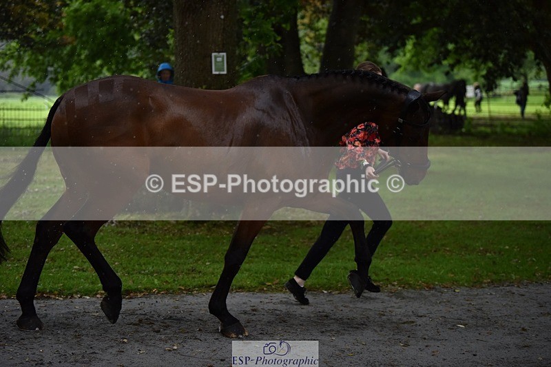 240522-152926-00378 - 360-JELSON-Lucy_Collecott