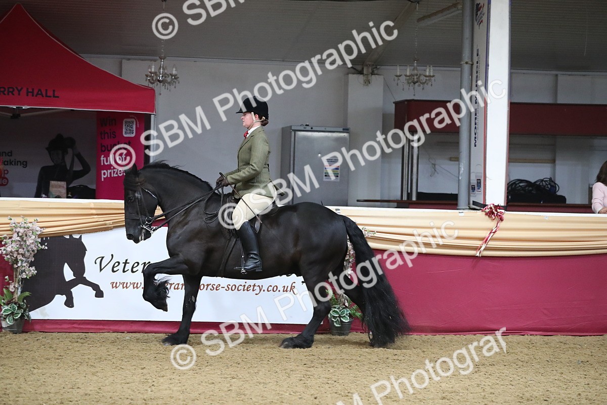 SBM_10436 - Class 102 Equitation (best rider) Adult