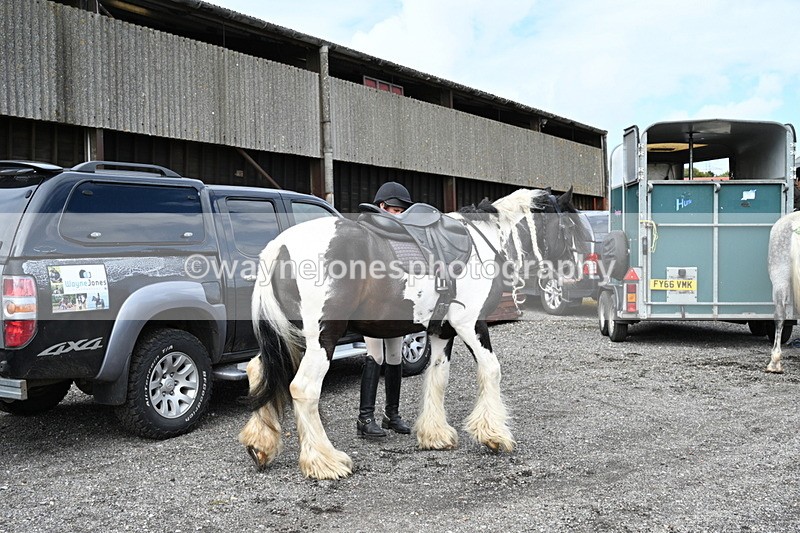 WJ7_6711 - Berks & Bucks at Blandy’s Farm 31-08-25