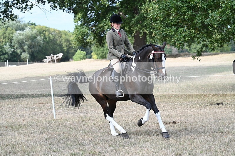 WJ7_6050 - Class 13 Ridden Veterans
