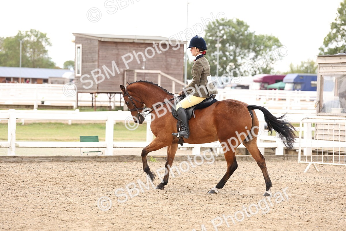 SBM_04218 - Class 54 - Riding Club Horse/Pony