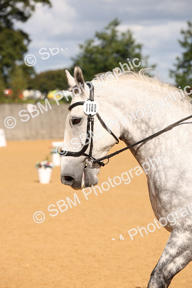 SBM_04292 - D2 Small Tour Championship Intro C