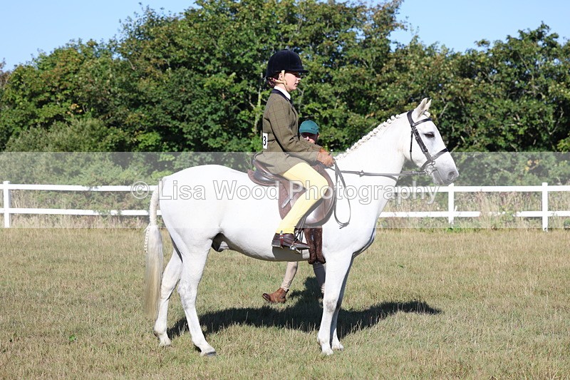 3E7A5369 - Class 2: Working Hunter 60cm