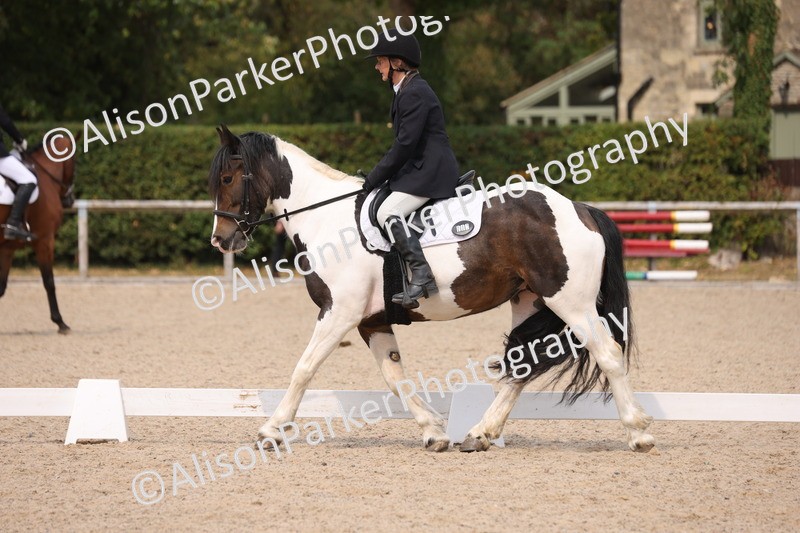 20250819-1332 - Class 4 - Novice 2