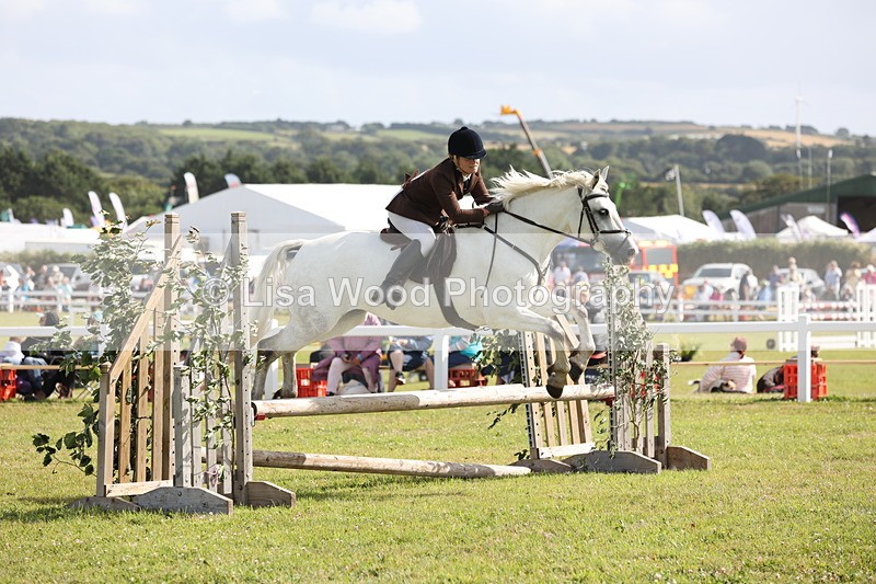 JPP_2572 - Class 20: Working Hunter 70cm