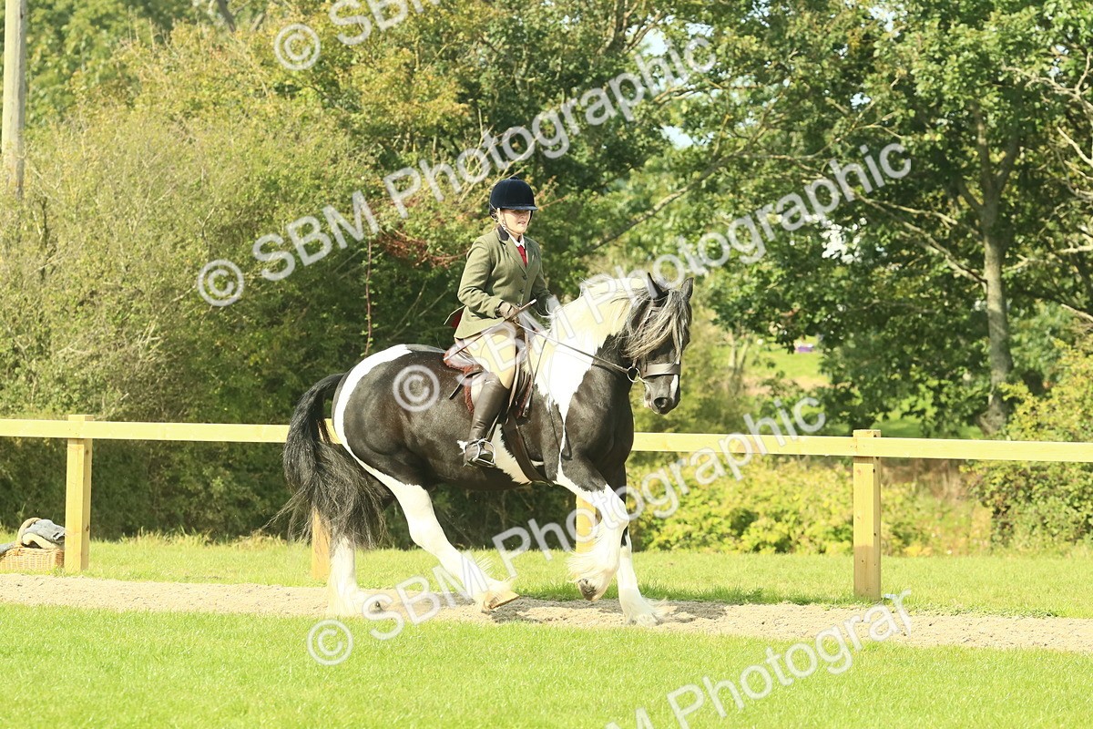SBM_67441 - S56 - Coloured Pony Ridden