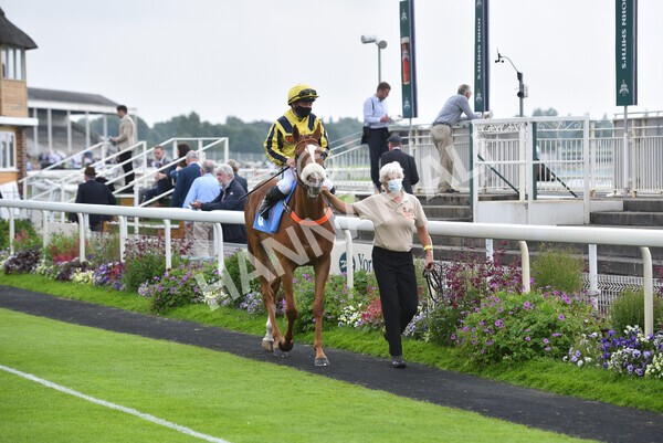 yr10072021r3-11 - Race 3: 2.55pm John Smith's Stayers Stakes