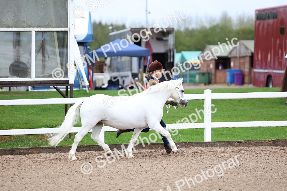 SBM_00231 - Class 13 - Young Handler