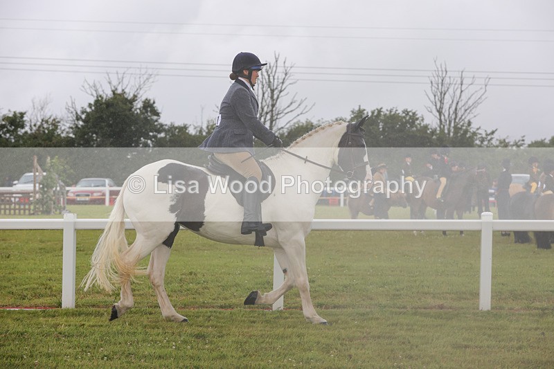 1X9A2992 - Class 26: Ridden Plaited Coloured Pony