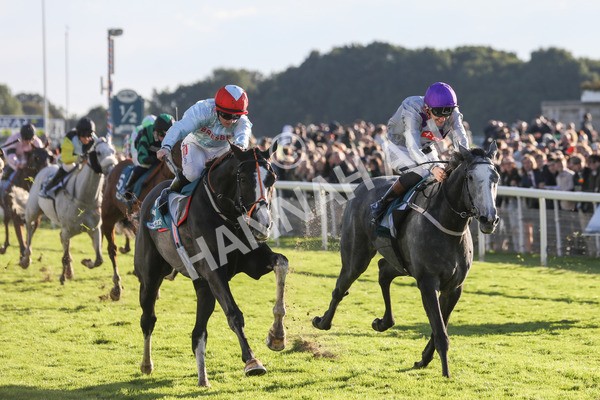 141023-Race 6-Punctuation-0655 - Race 6 4.10pm Coral Get Closer To The Action Handicap
