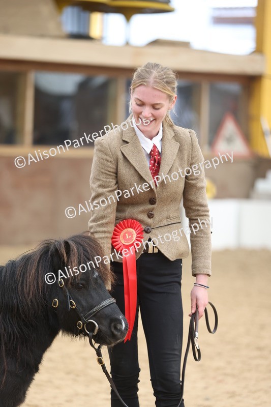 20251109-0286 - Class 12 - Stallions 4 Years and Over