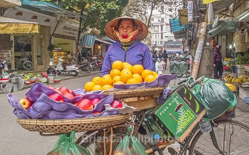 IMG_5056 Fruit vendor, Hanoi, Vietnam - Vietnam