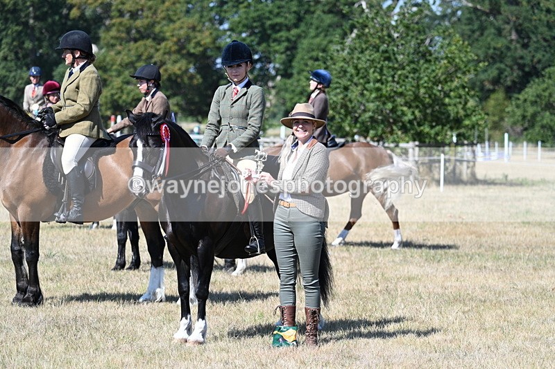 WJ7_4226 - Class 9 Mountain & Moorland Ridden