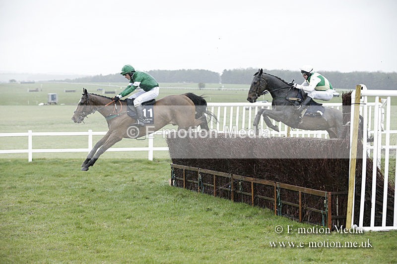 PtP 150320 0151 - New Forest Point-to-Point Larkhill 15/03/20