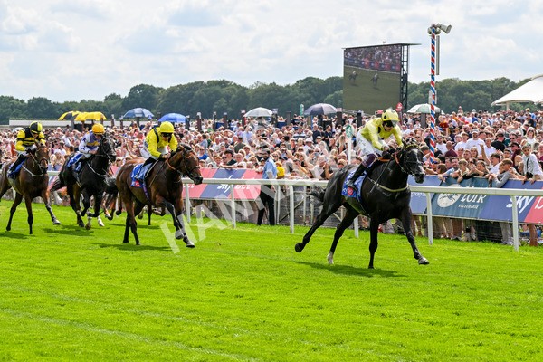 260725-Race 3-Royal Champion-0454 - Race 3 2.40pm Sky Bet York Stakes