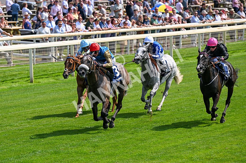 100726-Race 2-Flora Of Bermuda-0175 - Race 2 14.45pm William Hill Summer Stakes
