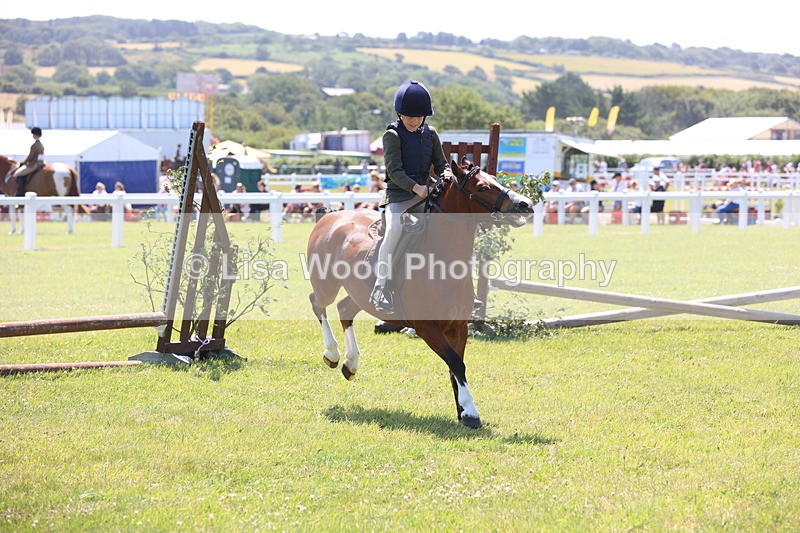 JPP_2269 - Class 20: Tiny Tots Working Hunter Pony