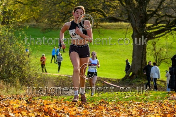 NatRel25-913839 - Young Female Set Two