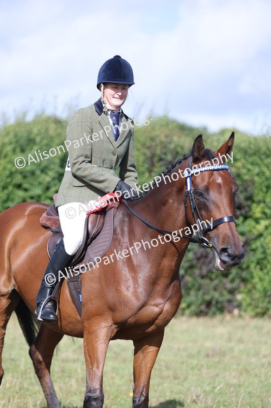20250831-0932 - Class 14 - Ex Racehorse