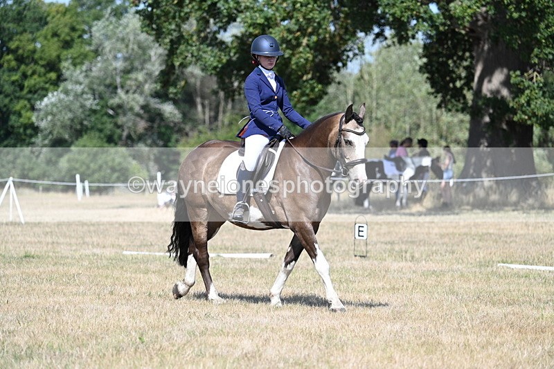 WJ7_0171 - Time 11:03 to 11:28