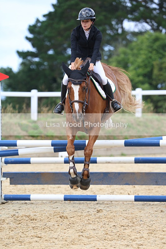 3E7A5206 - Class 4: Senior British Novice/90cm open
